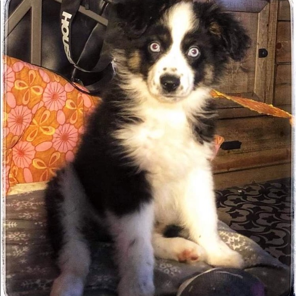 Meet your Posher, Kathleen - Picture 3 of 7